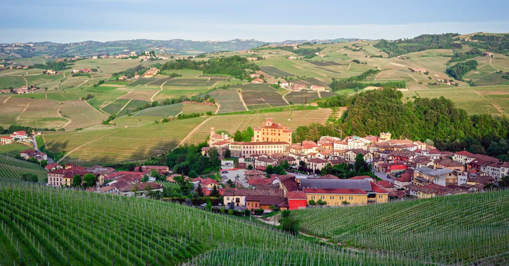 barolo vin