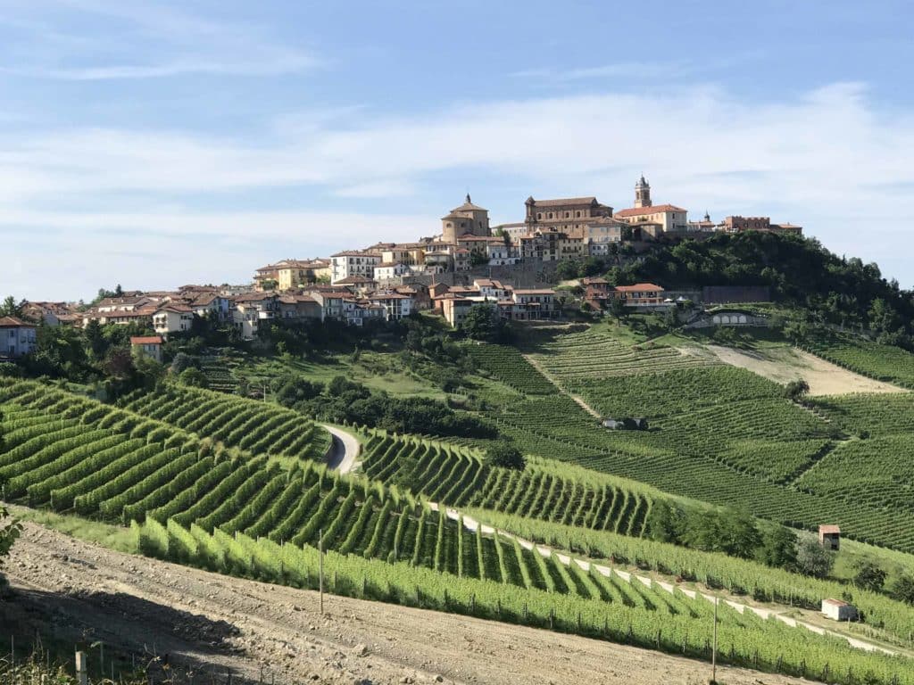 barolo vin