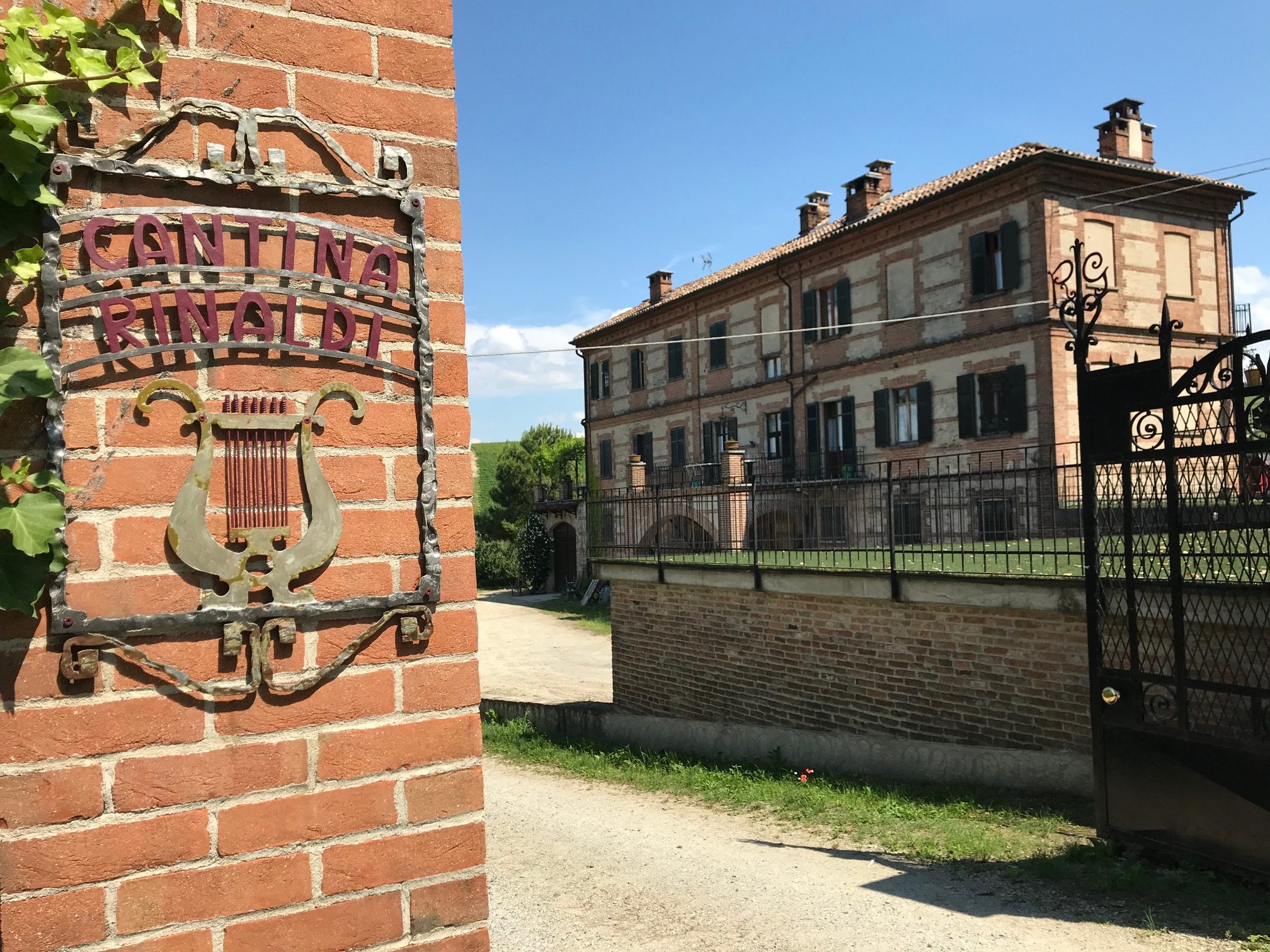 barolo vin