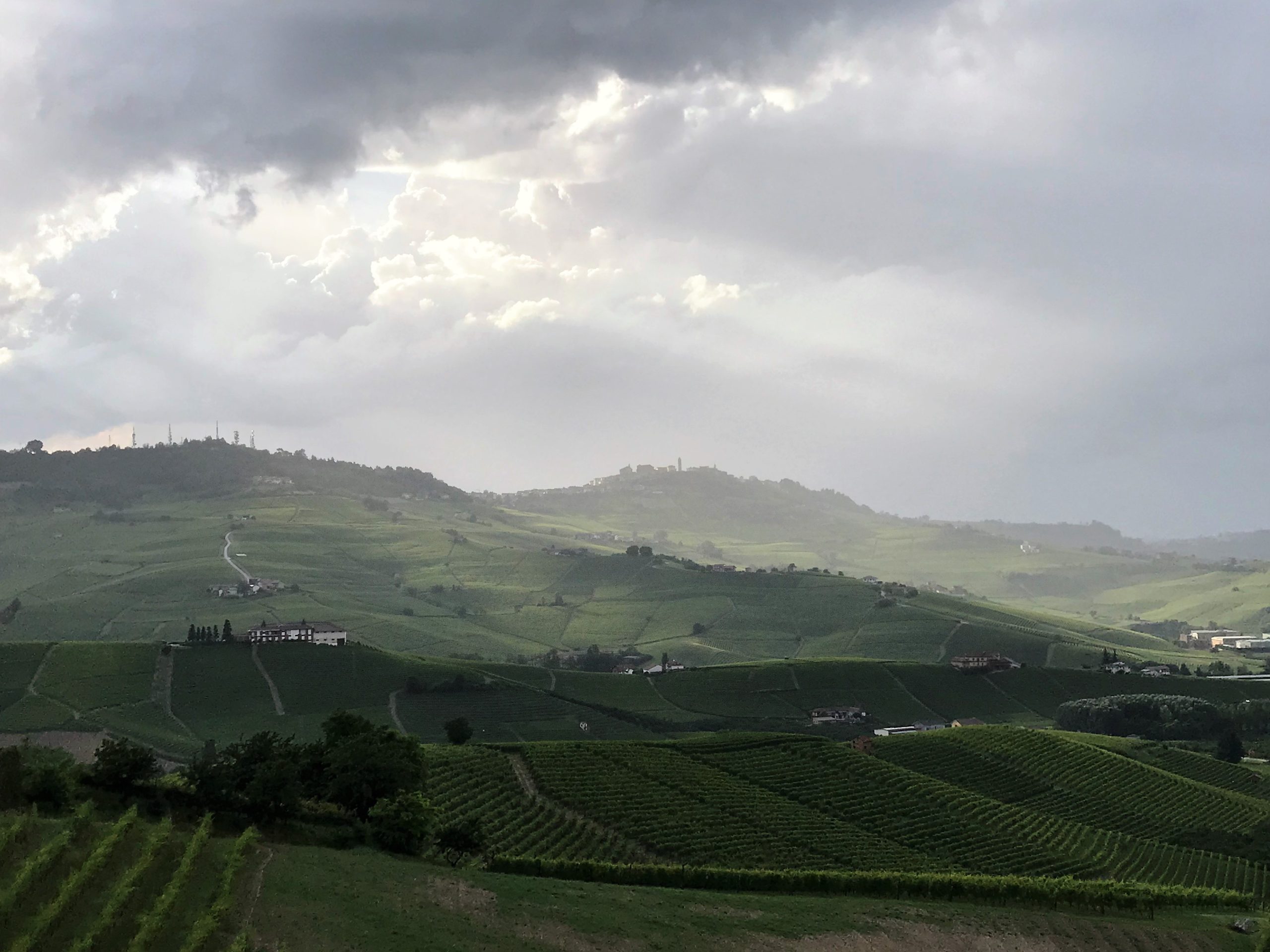 barolo vin