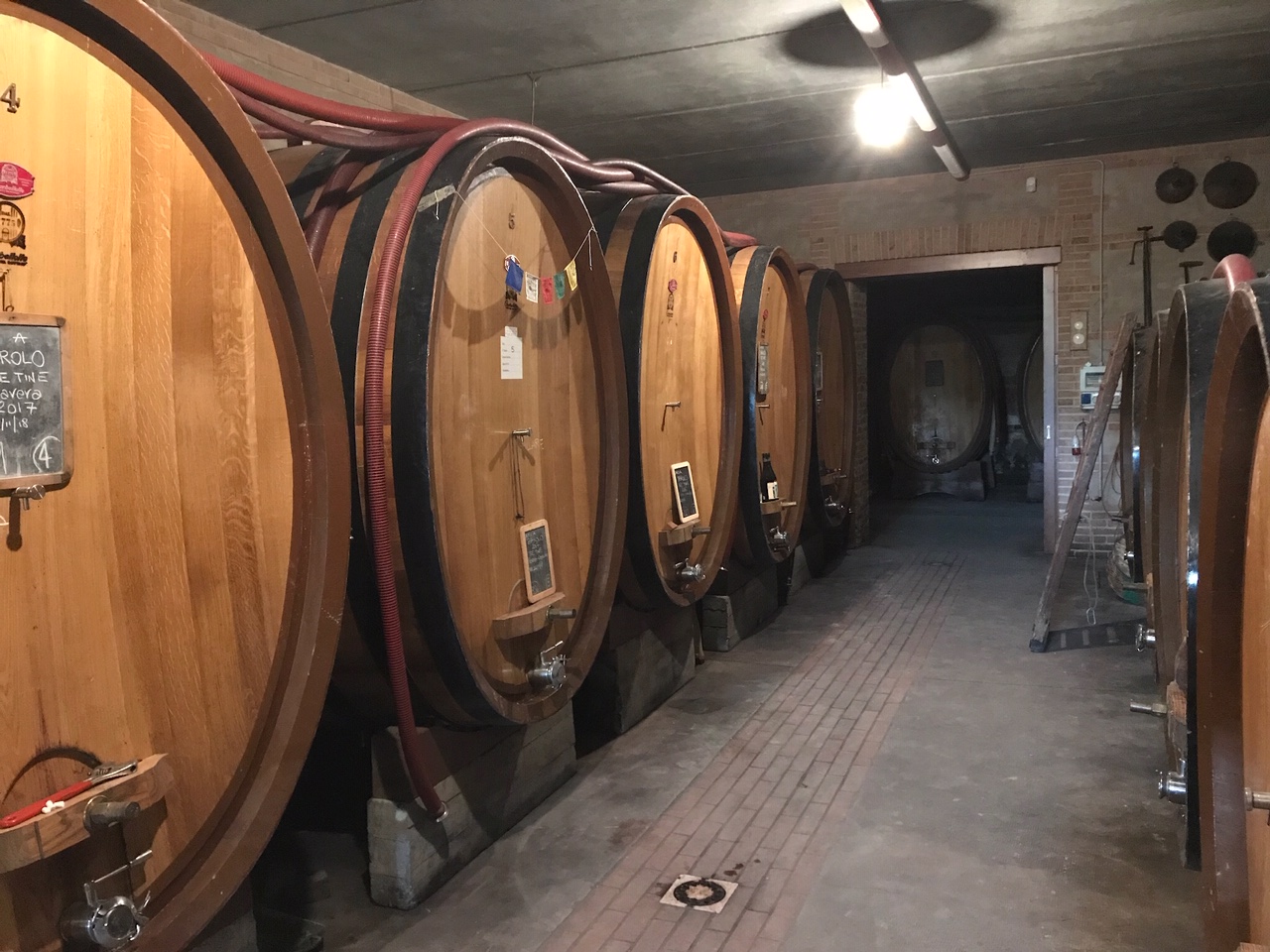 barolo vin